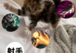 每次(cì)打團(tuán)都(dōu)瞬(shùn)移——澳洲lol国服玩(wán)家的日常