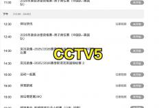 CCTV5不(bù)直播(bō)！WTT总决賽(sài)賽(sài)程