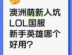 澳洲萌新入坑lol国服，新手英(yīng)雄哪個(gè)好(hǎo)用？