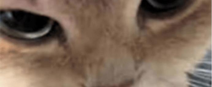 在(zài)澳(ào)洲打lol，有哪些时刻破大防(fáng)