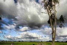 泸州市(shì)江阳区小钰珠寶(bǎo)首饰商(shāng)行（个体工商(shāng)户）成立 注册资本(běn)2萬(wàn)人民币