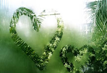 赵心(xīn)童首奪(duó)斯诺尅(kè)世界(jiè)大奖赛冠军